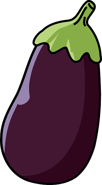 가지열매 추출물 건강보조식품 효능