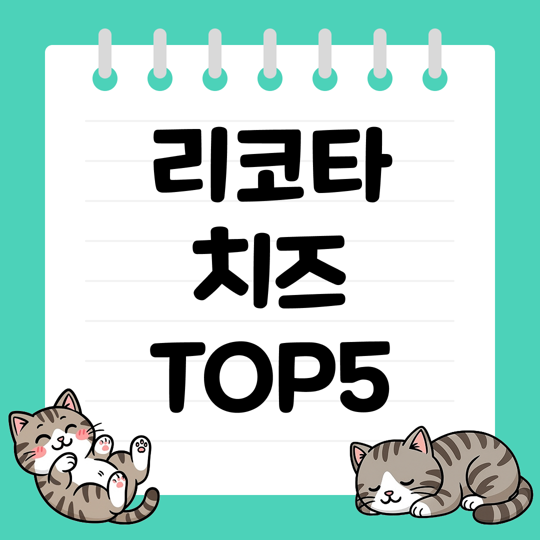 다이어트 샐러드와 잘 어울리는 리코타 치즈 추천 순위 TOP5