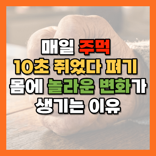 주먹쥐었다펴기, 악력운동, 손운동, 악력의중요성, 손건강, 혈액순환운동, 손관절운동, 중장년건강, 악력테스트, 손가락운동, 손혈류개선, 간단한운동, 10초운동, 생활속건강습관, 건강정보, 말초혈액순환, 관절가동범위, 근감소증, 악력측정, 손목운동, 손저림, 손목터널증후군, 시니어운동, 노년건강습관, 악력강화, 손운동방법, 그립운동, 스트레스볼운동, 관절건강, 노후건강관리