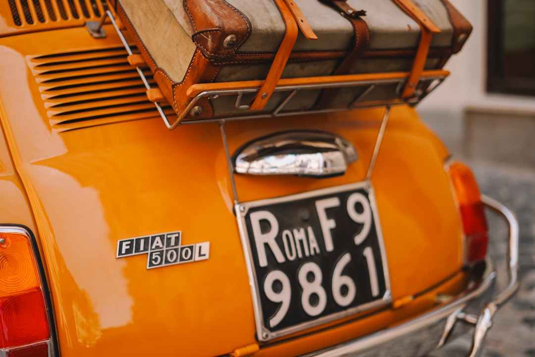 VIN (Vehicle Identification Number)