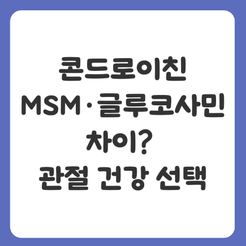 콘드로이친 MSM&middot;글루코사민 차이? 관절 건강 선택 가이드