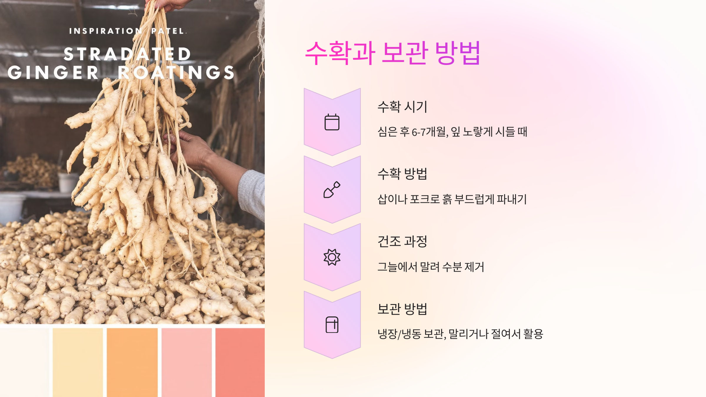 🌾 수확과 보관 방법