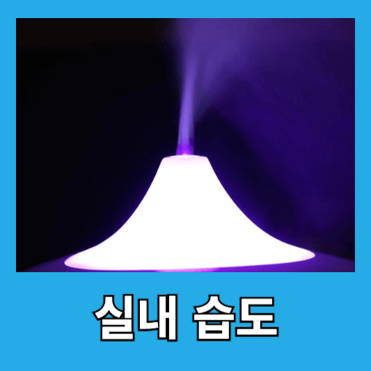 실내 습도와 수분 섭취