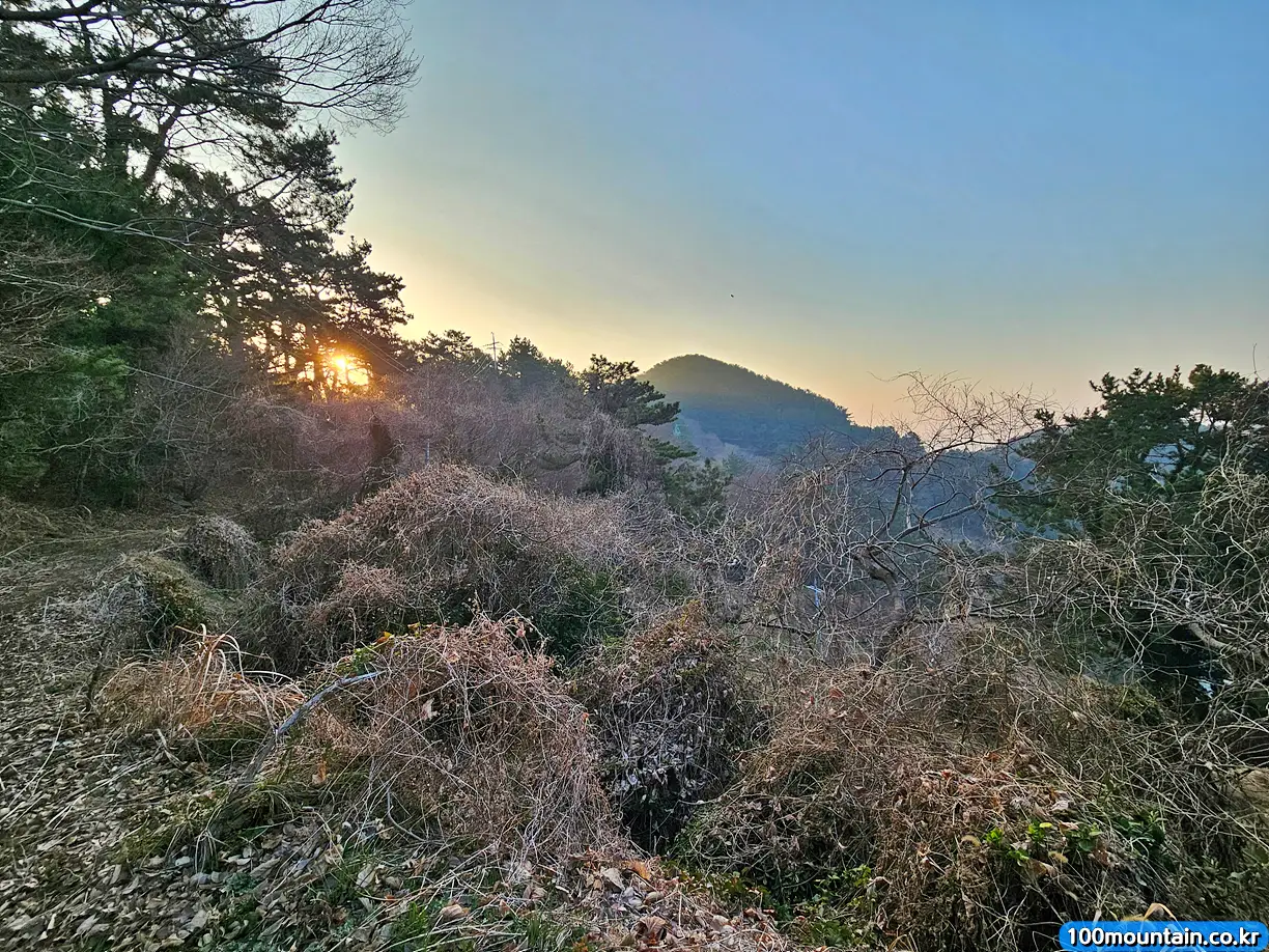 바라본 망산 정상