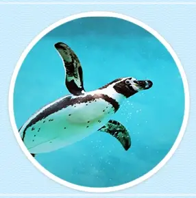 롯데월드-아쿠아리움-입장료-운영-시간-할인