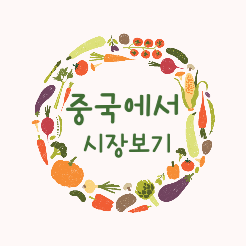 중국시장보기-대문사진