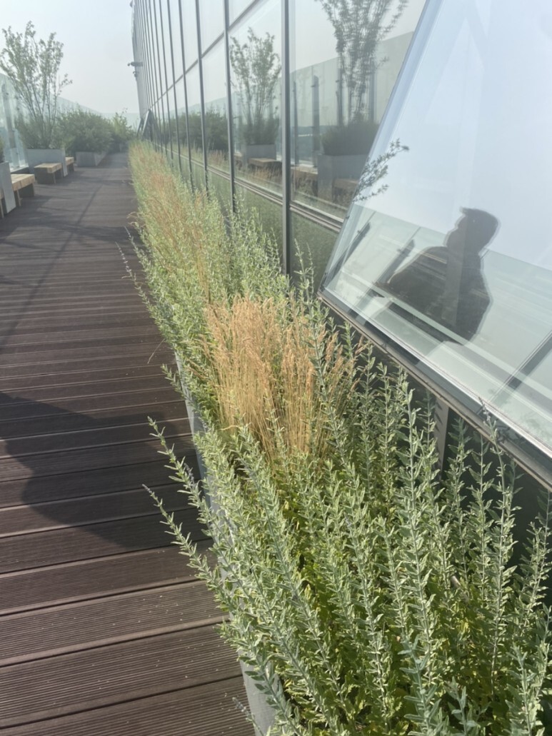 데일리룩(오뭘입)무신사테라스, 하와이 반팔 셔츠, 무신사스탠다드 데미지진 청바지, 엠엠지엘 MMGL 샌들, 데일리룩, 데일리코디, 데일리패션, ootd