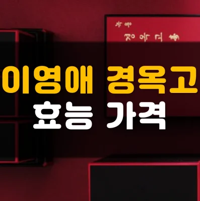 이영애-경옥고-가격