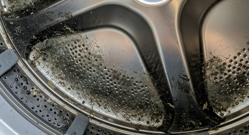 팡이와 세균이 번식하기 좋은 환경