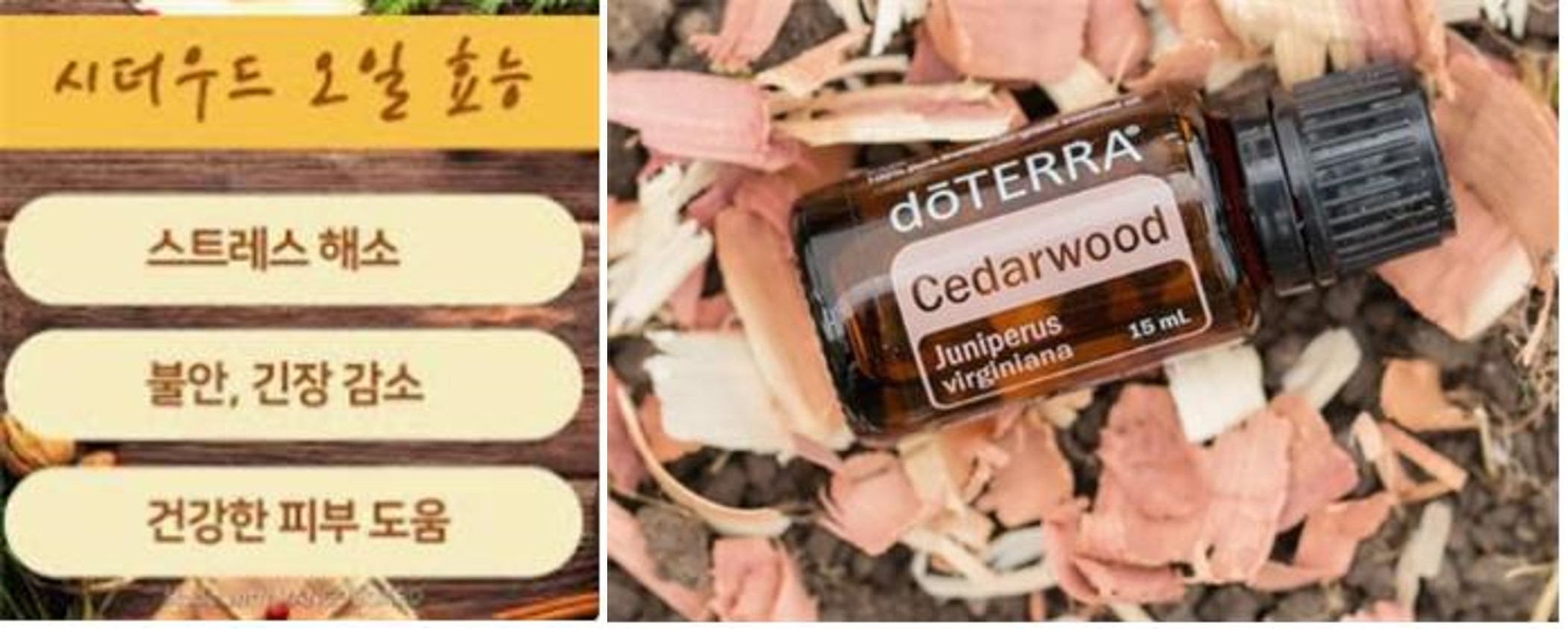 시더우드 오일의 효능 이미지