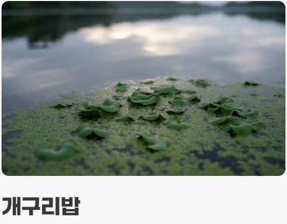 어항의 허파&amp;#44; 수초를 심자