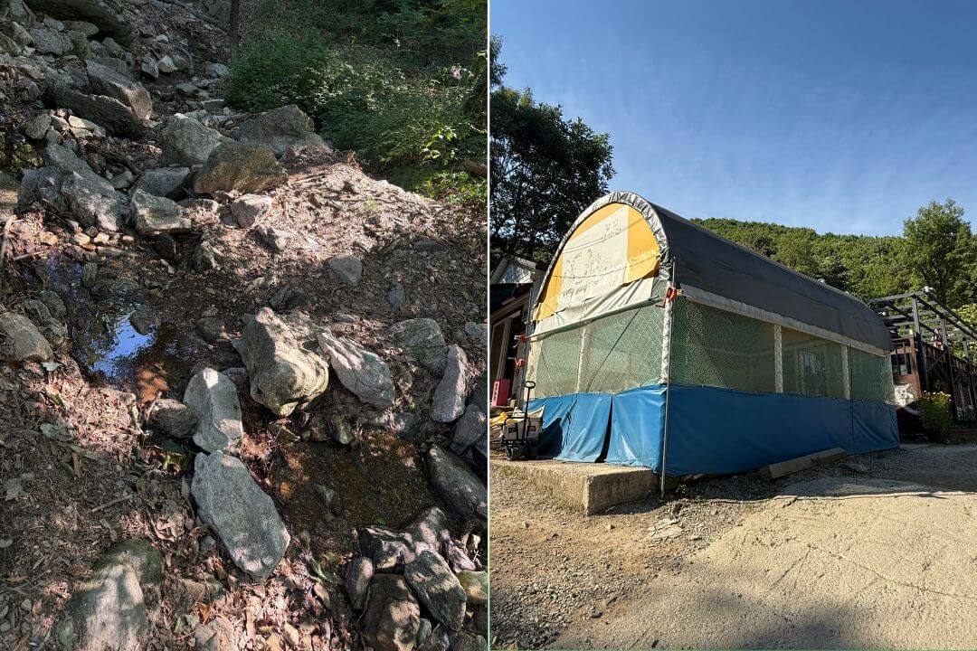 용인 자연숲캠핑장 계곡과 방방이 트램폴린 놀이시설