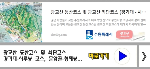 수원특례시 광교산