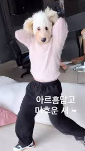 아름답고 미운 새 AI 강아지춤 틱톡 영상 쉽게 만들기 방법 총정리 1