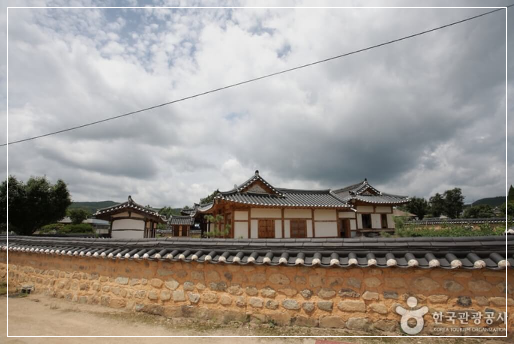 의성 가볼만한곳 베스트10 사촌마을 가로숲