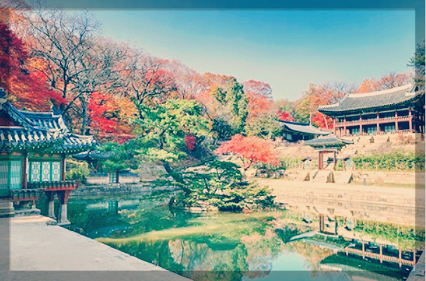 창덕궁 후원 예약, 3분 총정리