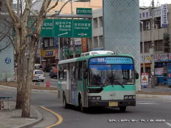 대구 시내버스 첫차시간 노선별 운행정보와 이용 꿀팁_12