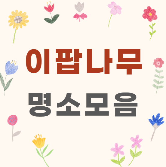 이팝나무 명소