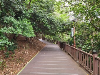 7월 여행지 추천