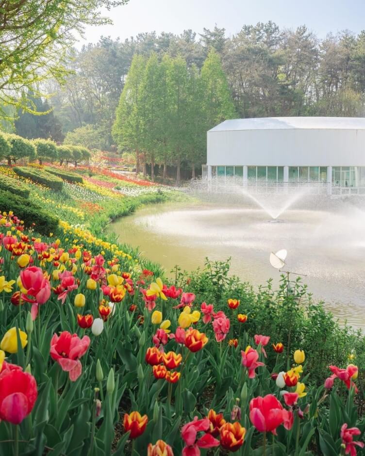 대전 세종 충청 4월 축제 일정