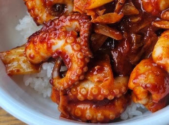 오늘N 한 끼에 얼마에요 안성 쭈꾸미와 들깨칼국수 맛집 세렌디피티펜션