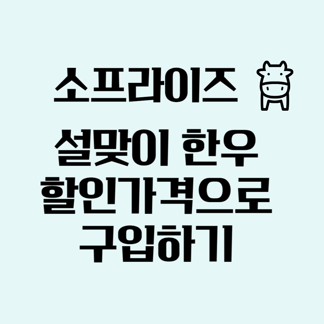 소프라이즈 설맞이한우 할인가격으로 구입하기