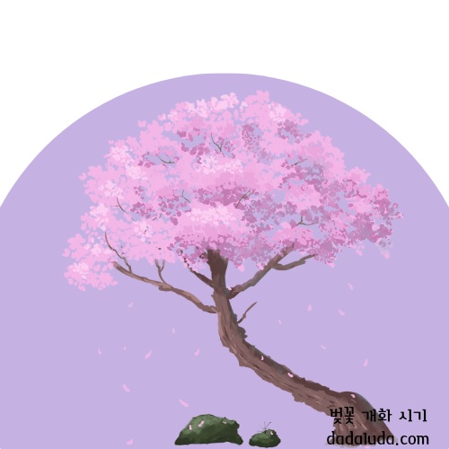 벚꽃 개화 시기 2025 인천 벚꽃 구경 볼만한 곳