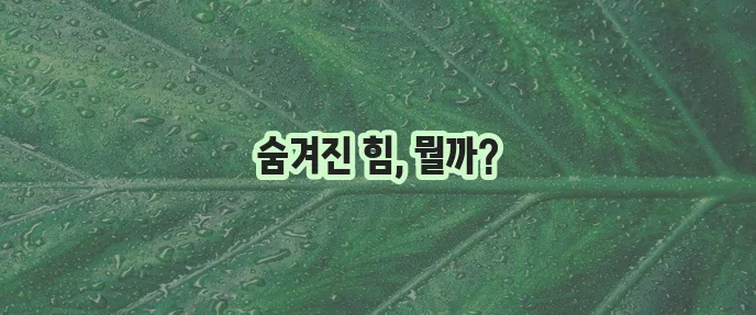 서울 2033 후원자 apk야말로 최고지!
