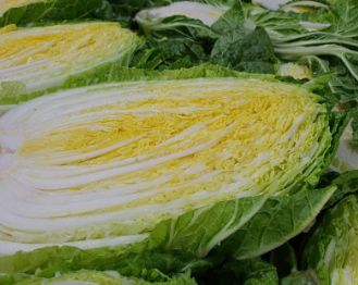 슬기로운 청년농부생활