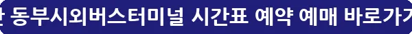 부산 동부시외버스터미널 시간표 예약 예매_17