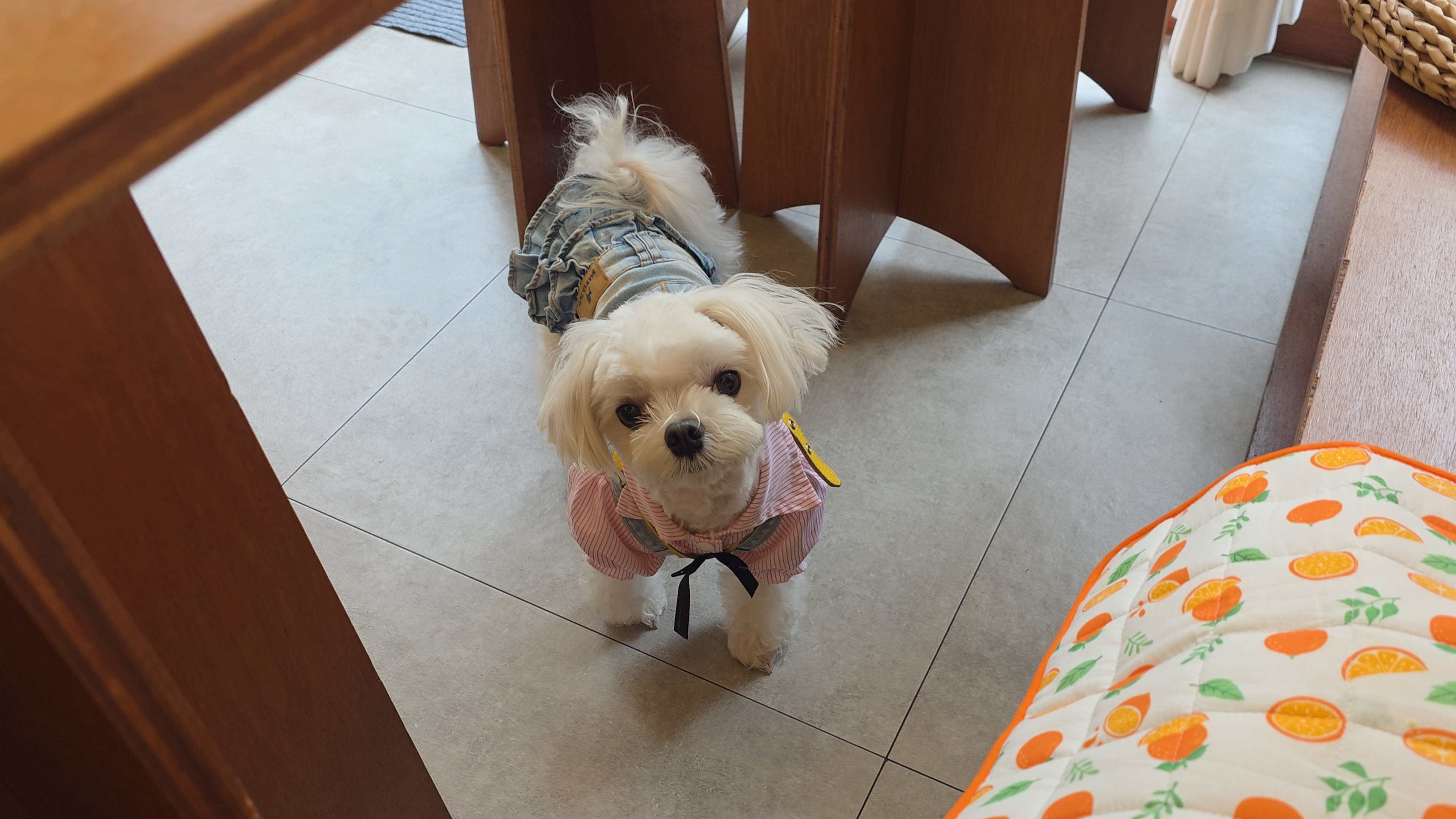 카페내 라떼 모습