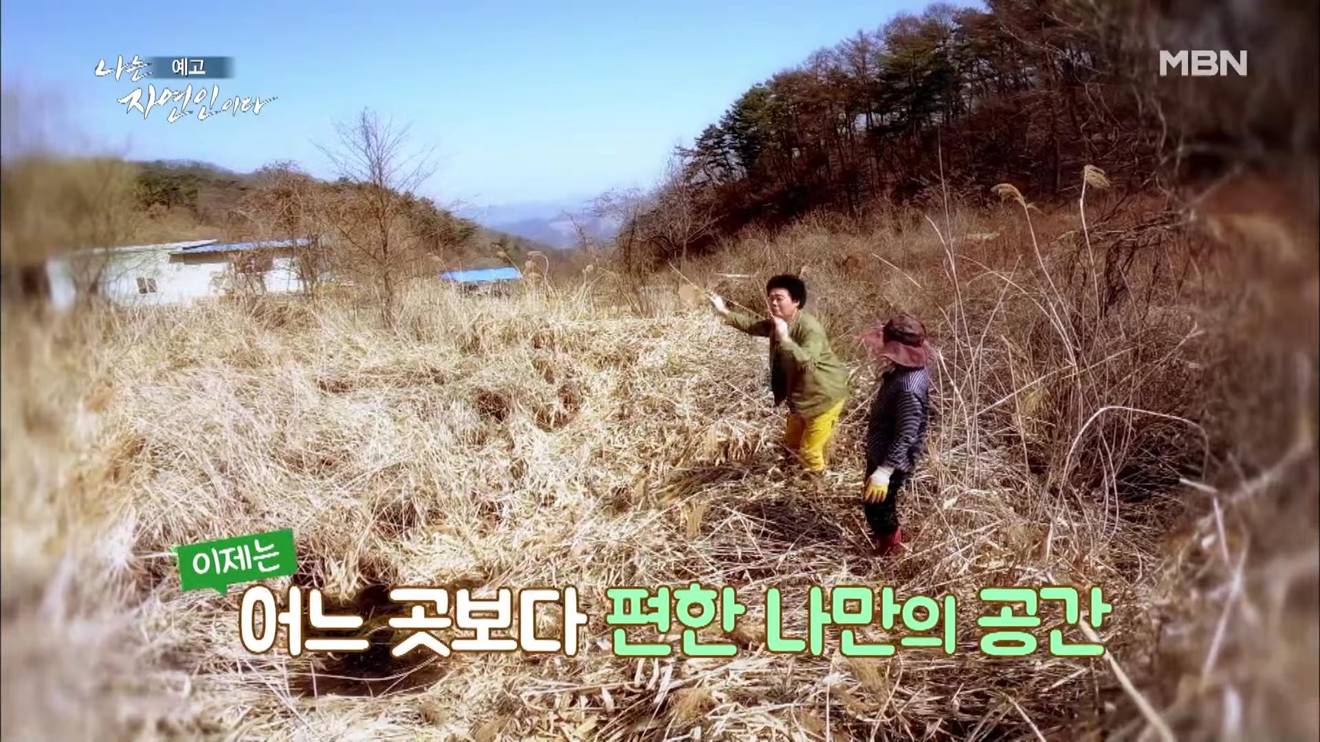 나는 자연인이다 100년 집 머위꽃 튀김 달래무침 개복숭아 고추장 황태 북어 구이 고립무원의 자유 자연인 서옥선 소개 및 윤택 출연 549회 다시보기
