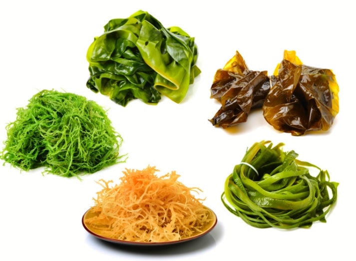 오메가3음식-해조류