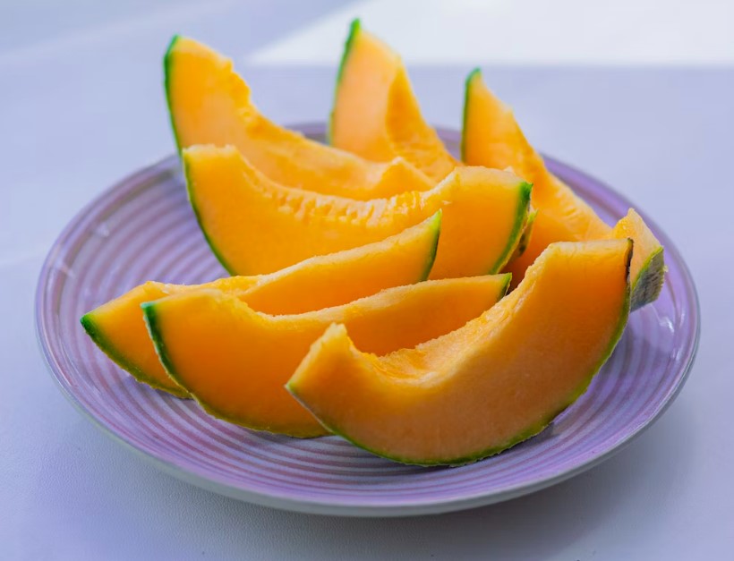 6월 제철 과일 모음