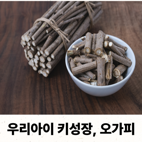 키성장 오가피