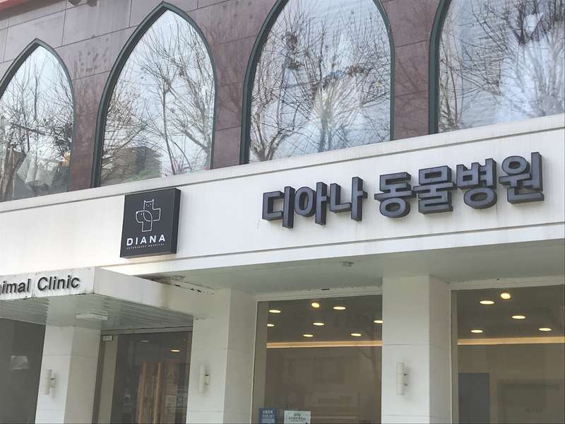 2.2 디아나동물병원의 서비스 후기