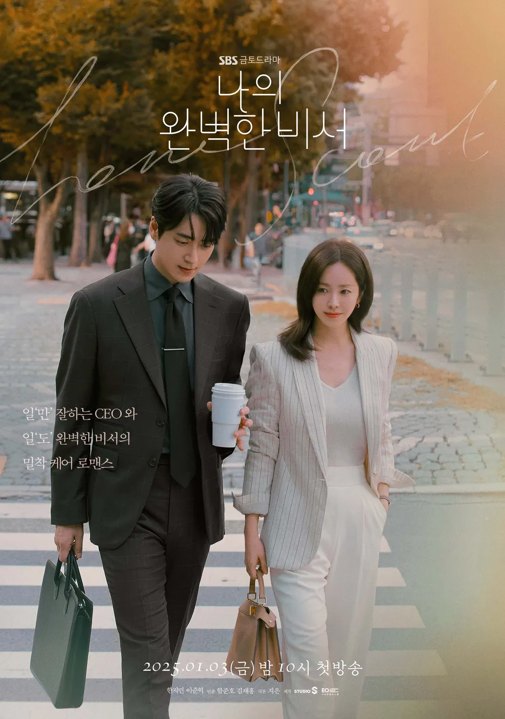나의 완벽한 비서 포스터