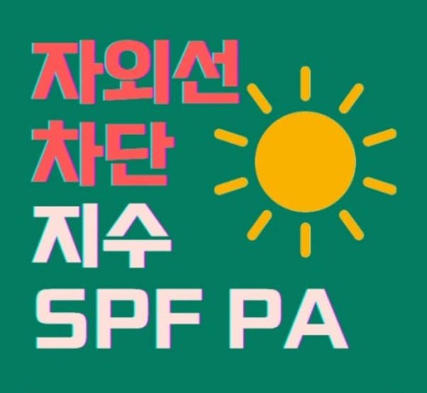 SPF와 PA 지수 정확히 이해하기