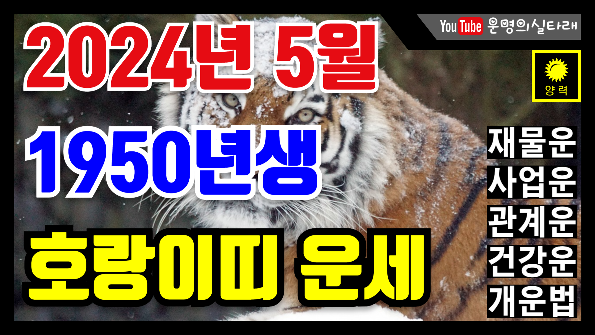 썸네일 사진