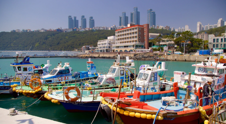 부산 영도 전통 어촌 마을 어선 1960년대 어민 생활