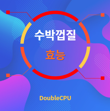 수박껍질 효능 탐구