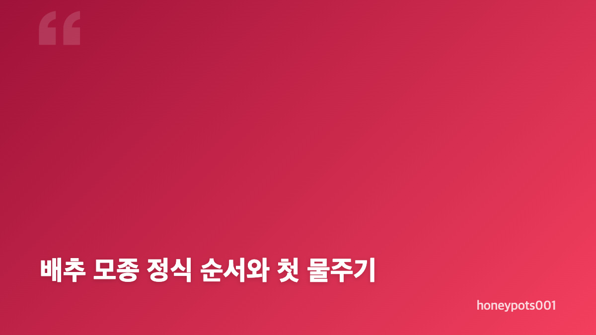 배추심는시기 지역별 기준과 결구 기간