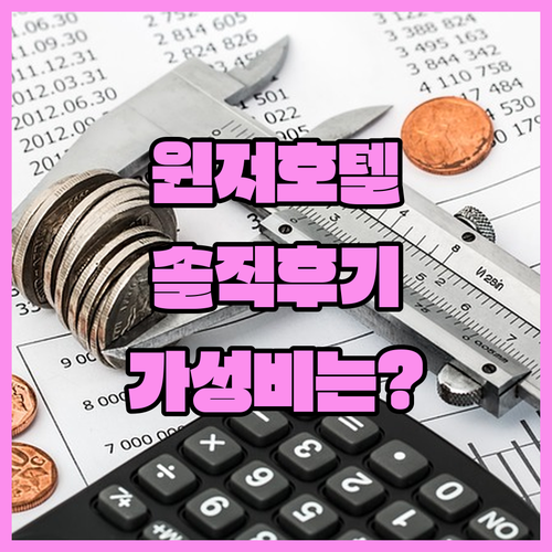 윈저 호텔 플렉스 후기! 가성비 갑 