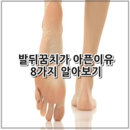 발뒤꿈치가 아픈이유