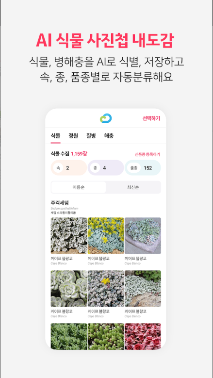 식물이름찾기 어플, 식물도감, 버픽(Burpic)