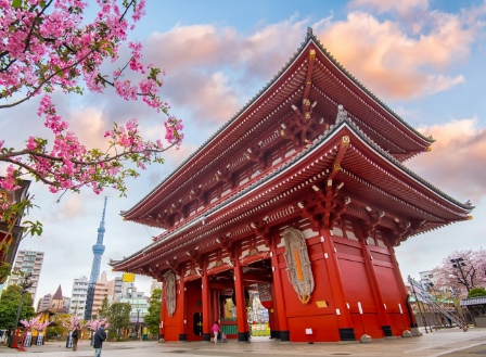 연쇄구균독성쇼크증후군 원인 증상 예방 치료