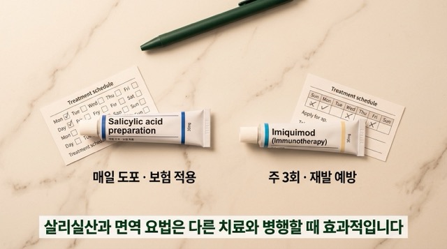 사마귀 살리실산 도포 면역치료 이미퀴모드 DPCP 상세 설명