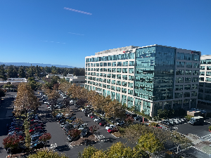 디베이트 수업이 부담스러운 아이를 위한 준비법