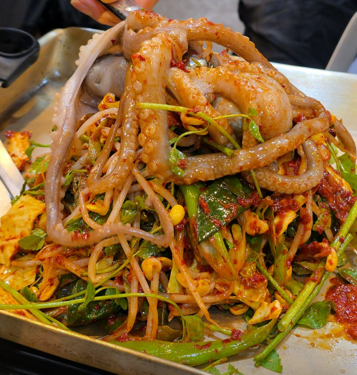 종로 철판 산낙지 / 낙지 전문점 진낙지 맛집 