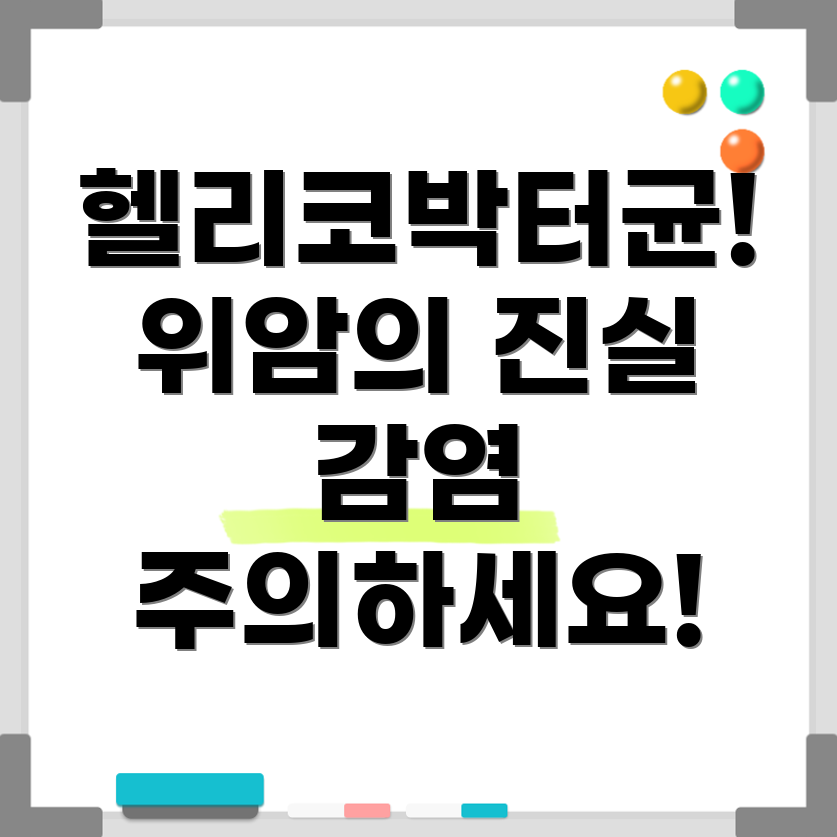 헬리코박터균 감염